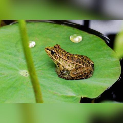 这一周的天气预报,晴雨之间,藏着生活该有的节奏 这一周的天气预报,晴雨之间,藏着生活该有的节奏