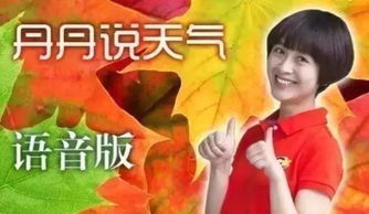 今日上海天气，黄梅天的温柔与焦灼