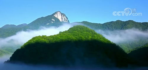 探秘北纬31°绿色奇迹，神农架超全旅游攻略
