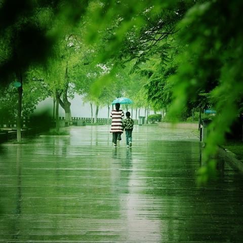 建德天气预报15天，掌握未来半月晴雨，出行生活更从容