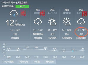 上海天气穿什么衣服，四季穿搭指南，轻松应对魔法攻击