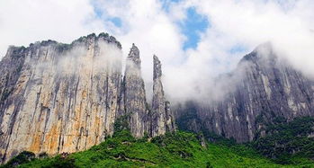 张家界旅游避坑指南，气候、景观与实用贴士全解析