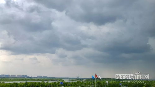 沙坪坝的雨与天气预报的云，一场错位的博弈 V9.83.2