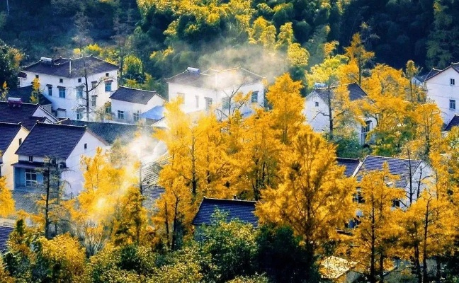 长兴天气，四季轮回间的诗意栖居