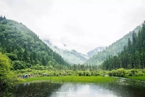 九寨沟遇雨？莫愁！雨天游九寨的别样诗意与实用指南