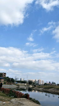 莱州天气，海风与晴空的四季交响
