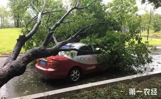 一张图读懂台风动向,台风路径动态图如何守护我们的安全 一张图读懂台风动向,台风路径动态图如何守护我们的安全