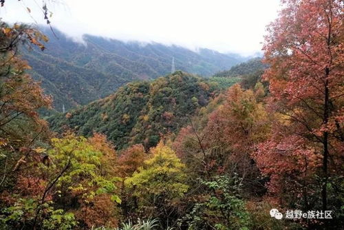 泾县的雨，最是江南的温柔入骨