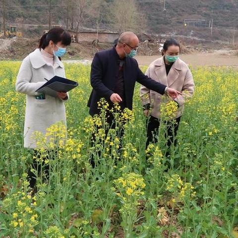 略阳天气预报,山城四季的温柔提醒 略阳天气预报,山城四季的温柔提醒
