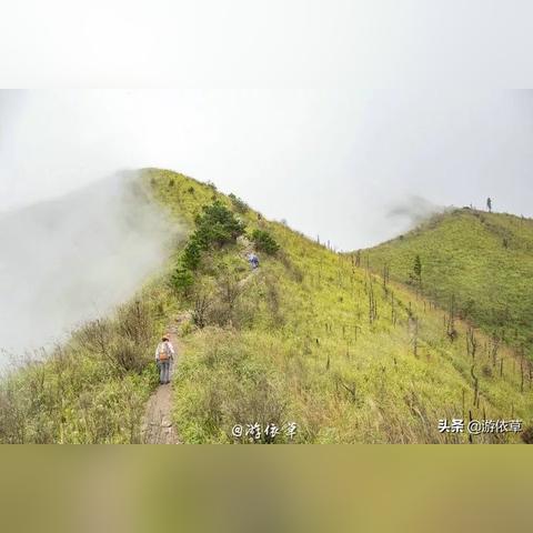江西未来一周天气展望，晴雨交替，气温波动需留意