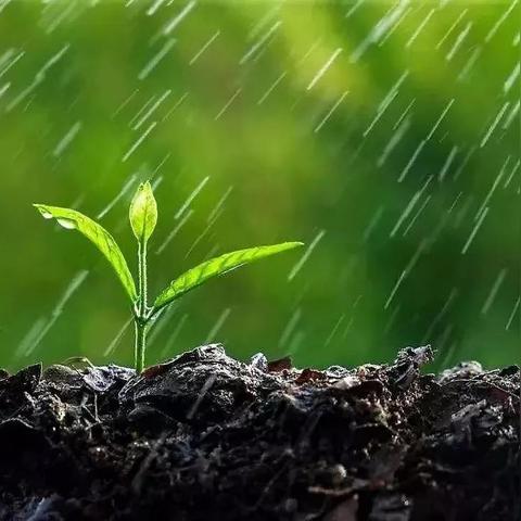 查一下明天几点下雨 查一下明天几点下雨