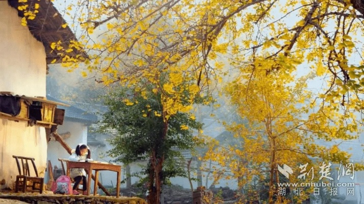 安陆天气，四季流转的诗意与烟火