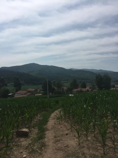 柳河笔记，在季节的缝隙里，听风看云