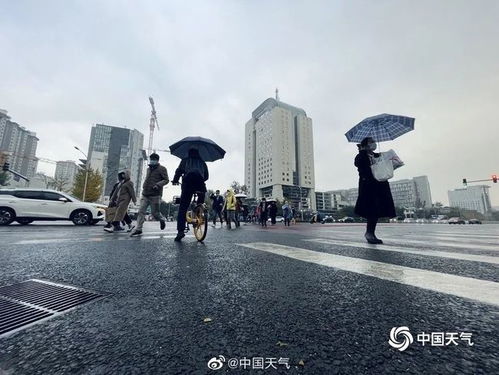 山东下周天气预报，冷空气频繁来袭，气温起伏如过山车
